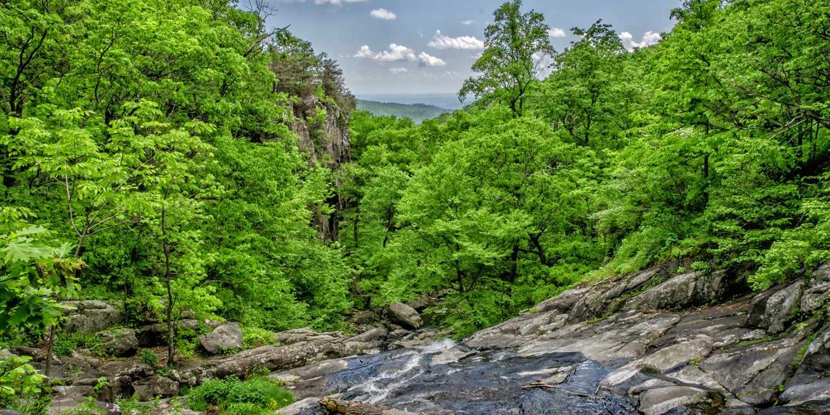 简课工坊 - 数字化课程设计与开发工作坊