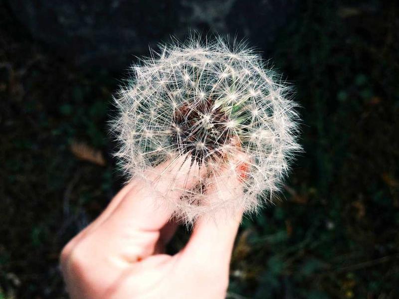 大型企业培训体系建设案例